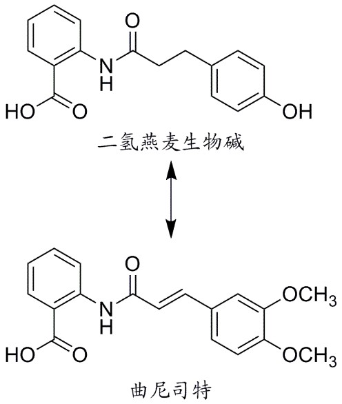 二氢燕麦生物碱