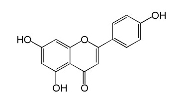 纳米金黄洋甘菊提取物