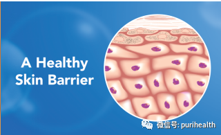 纳米水杨酸