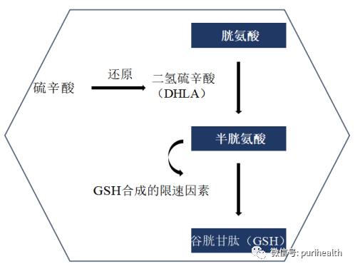 纳米硫辛酸 来源资料图 2