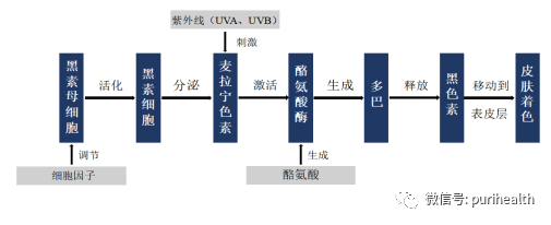 纳米硫辛酸 来源资料图 5