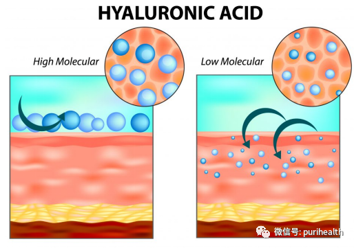 水解透明质酸