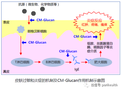 羧甲基 β-葡聚糖钠
