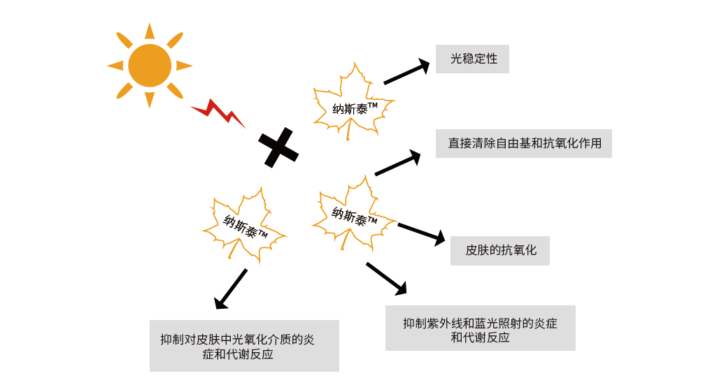 纳斯泰逆龄修护原液