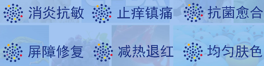 纳舒美
