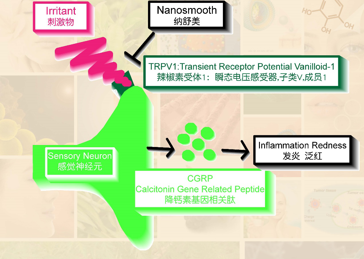 纳舒美 来源资料图 3