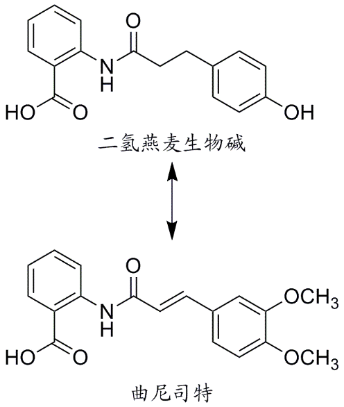 纳舒美 来源资料图 4